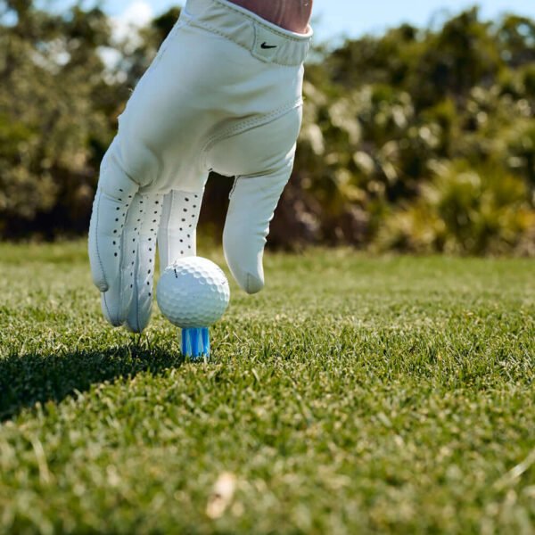 Brush-T Tees de Golf 3 Pack