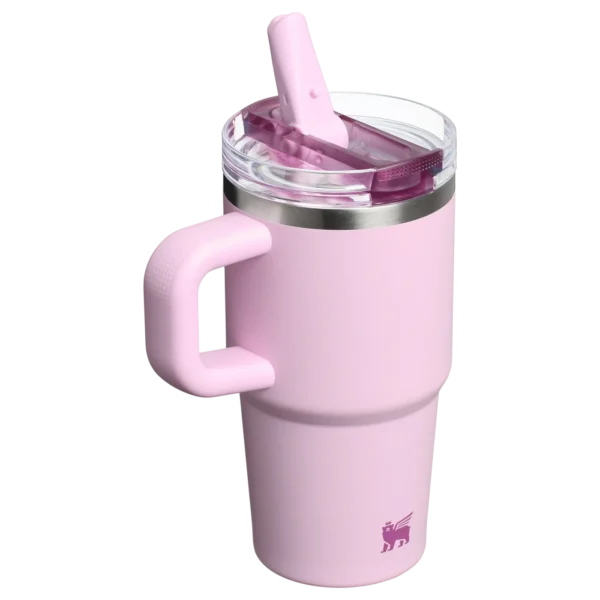 20 oz Flip Straw Tumbler Cherry
